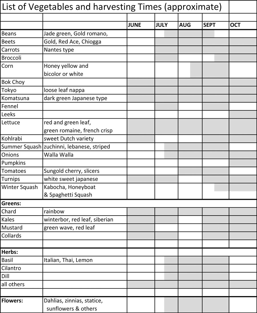 List of Vegetables and Harvesting Times (approximate)
